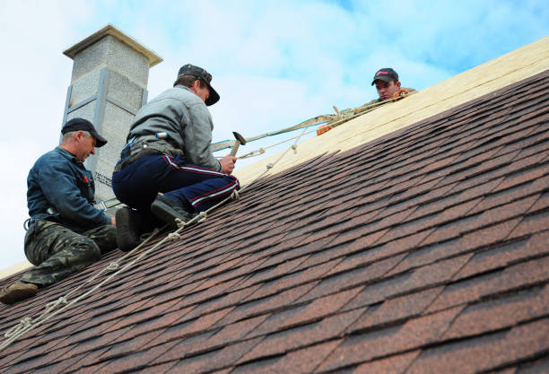 Best Storm Damage Roof Repair  in Negaunee, MI